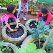 Escola Matias de Albuquerque promove projeto de Meio Ambiente e Sustentabilidade