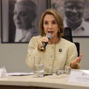 Secretária Raquel Teixeira abriu a reunião nesta quarta-feira (15/04).